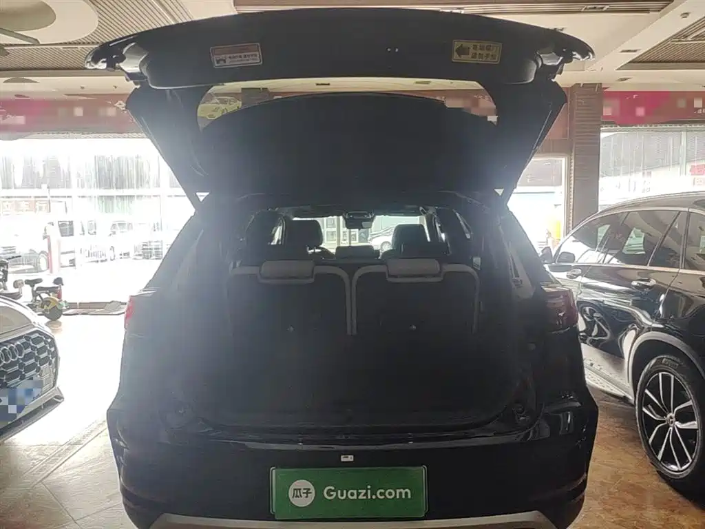 BYD Tang New Energy 2024 DM-i Honor Edition 112KM Premium фото 19