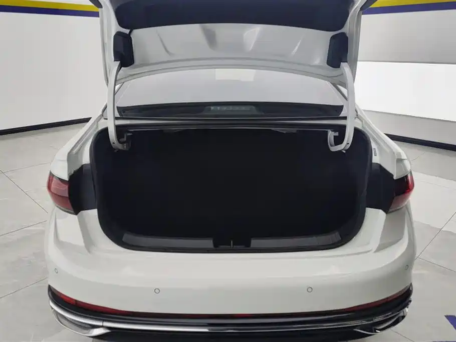 Volkswagen Sagitar 2024 300TSI DSG Surpass Edition фото 4