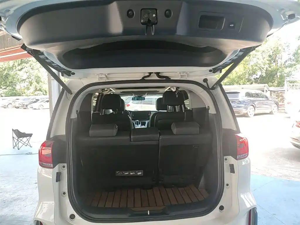 GAC Trumpchi Trumpchi M8 2021 Master Series 390T Ultimate Edition фото 19