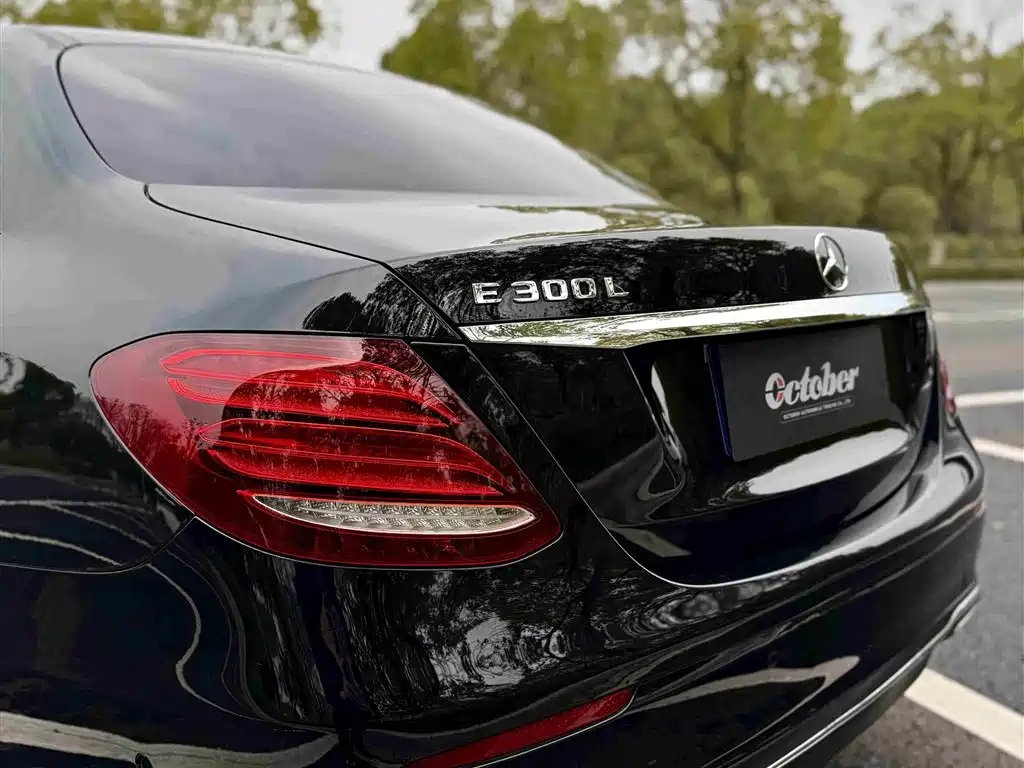 Mercedes-Benz E-Class 2019 E 200 L фото 8