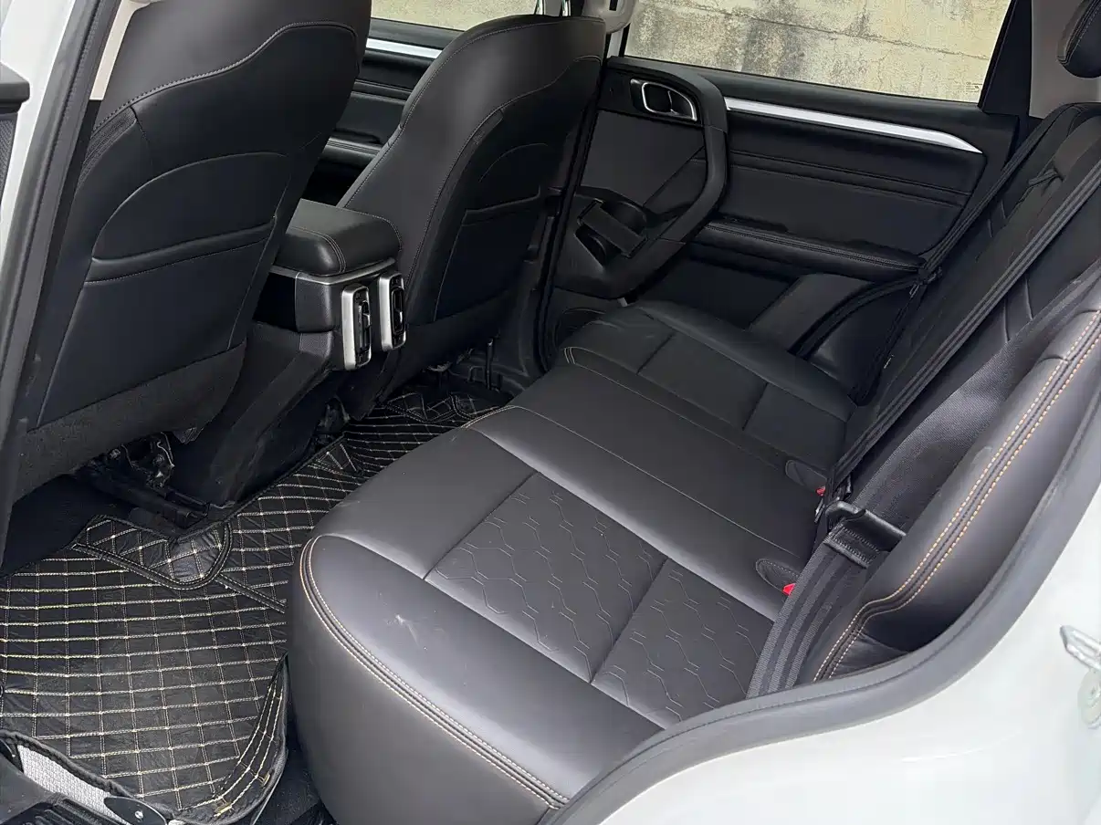 Haval Big Dog 2021 2.0T DCT 4WD Chinese Rural Dog Edition фото 12