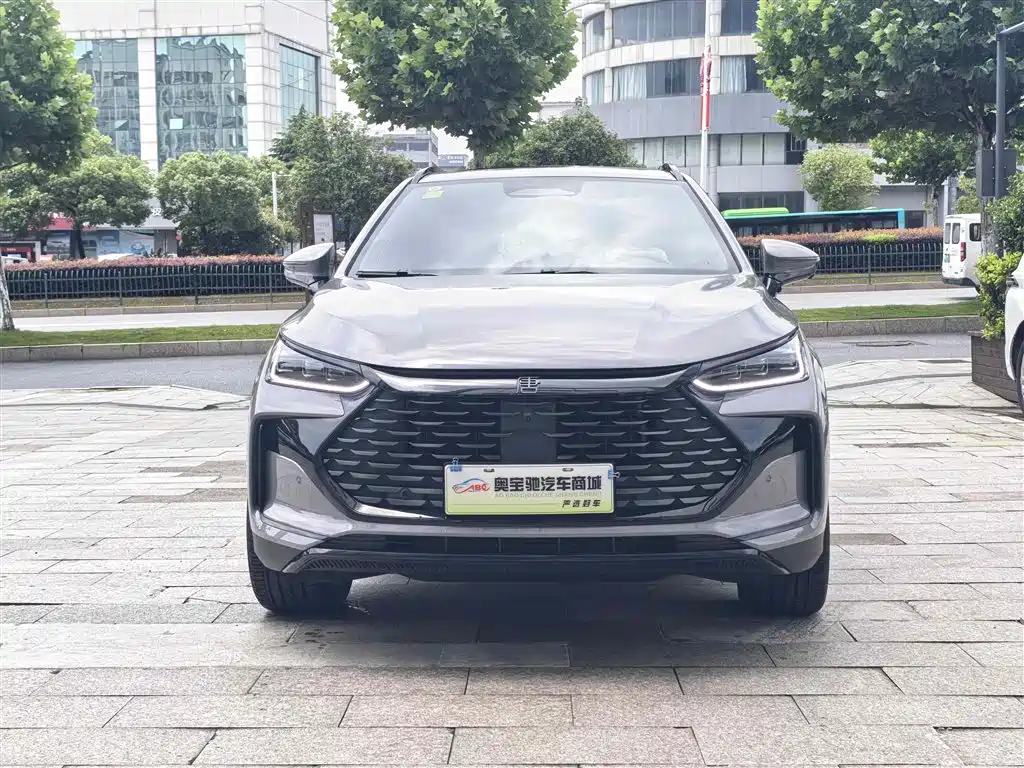 BYD Tang New Energy 2025 DM-i 115KM Flagship фото 2
