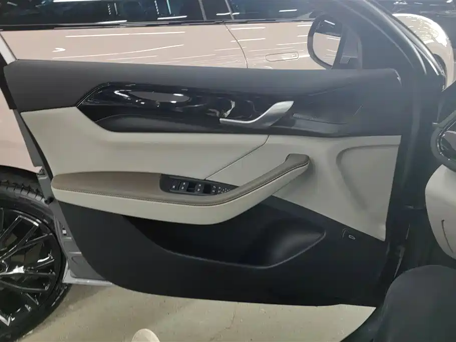 BYD Qin PLUS 2024 Glory Edition DM-i 55KM Leading фото 7