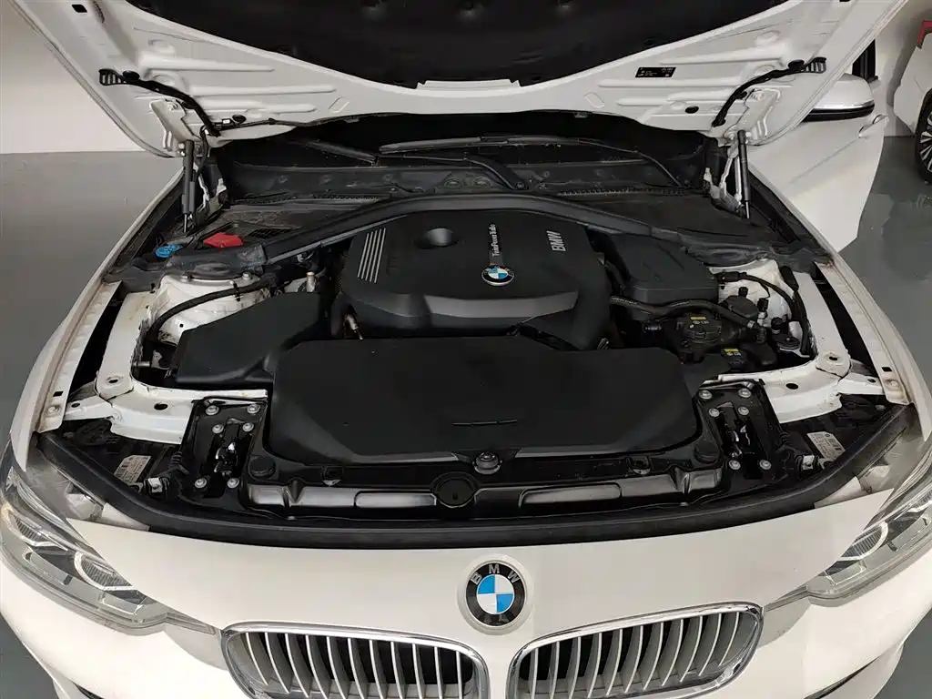 BMW 3 Series 2019 320Li Fashion Type фото 16