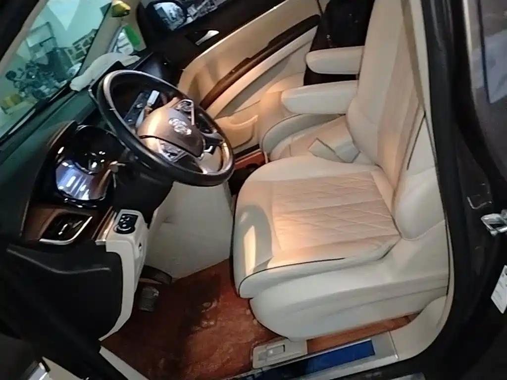 Buick GL8 2021 Land Business Class 652T Premium фото 11