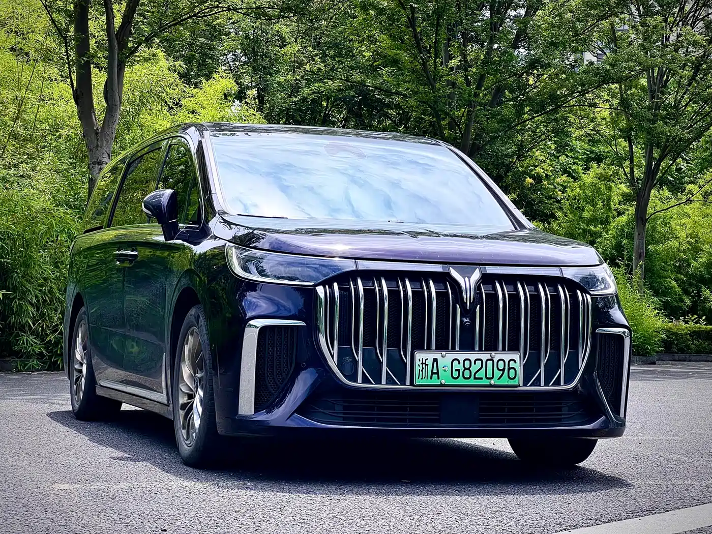 Voyah Auto Voyah Dreamer 2024 PHEV Extended Range Flagship Edition фото 3