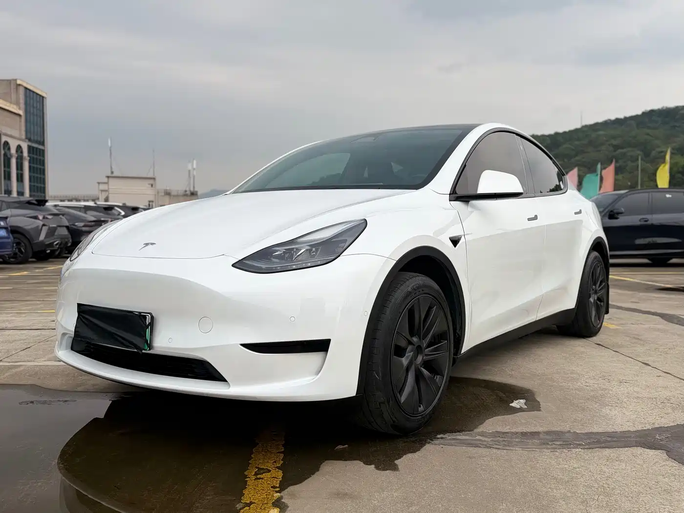 Tesla Model Y 2023 Rear-Wheel Drive Edition