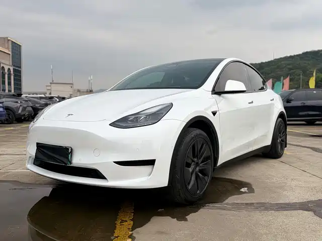 Tesla Model Y 2023 Rear-Wheel Drive Edition