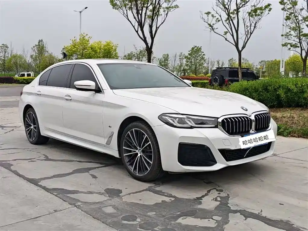 BMW 5 Series 2021 530Li Executive Luxury Package