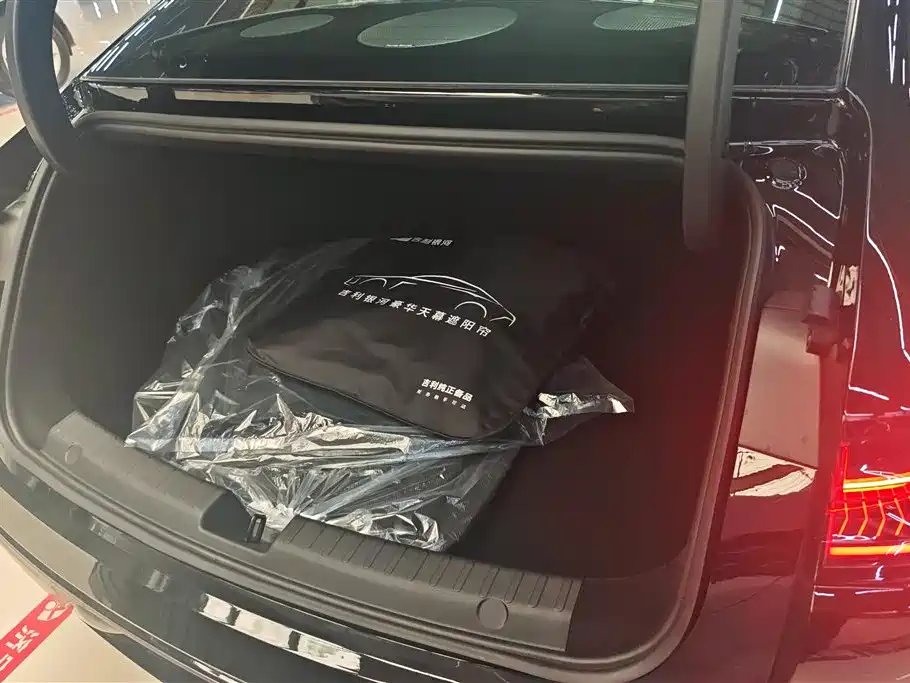 Geely Galaxy Galaxy Xingyao 8 2025 Model 60km EM-i Luxury Edition фото 4