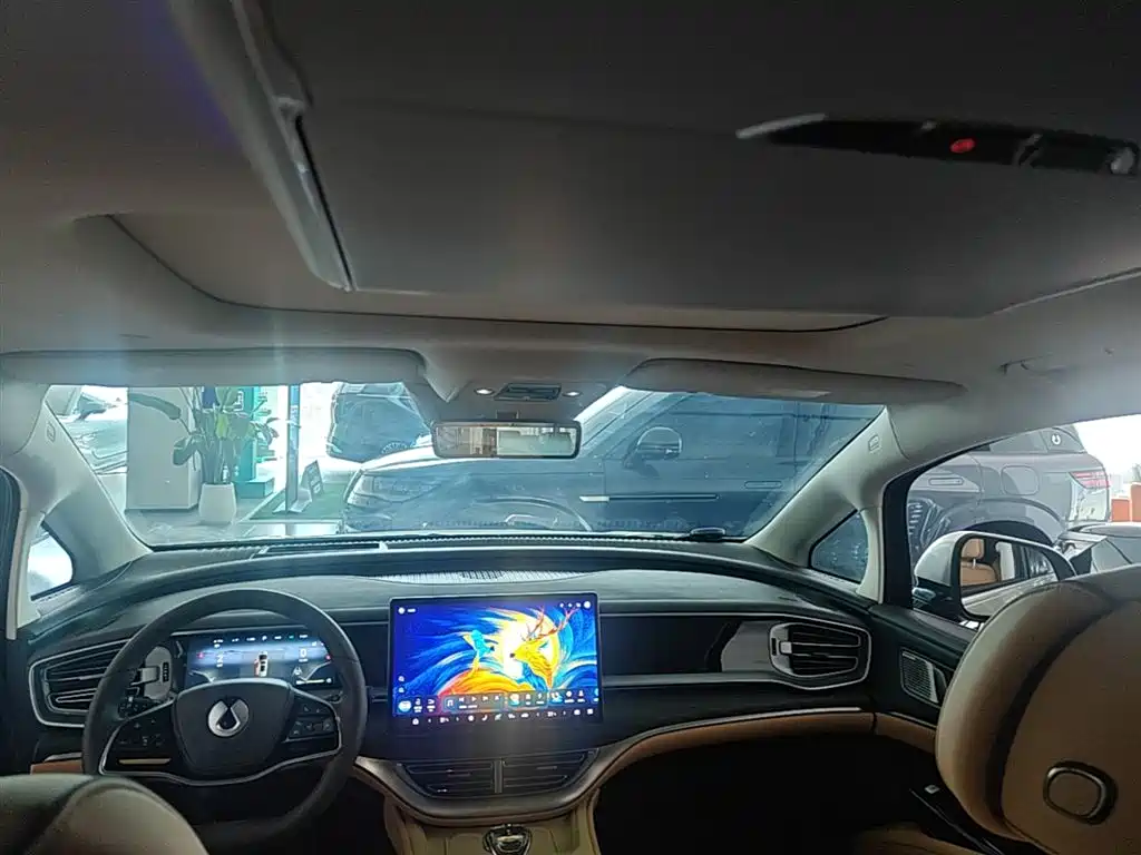 Denza D9 2024 DM-i 980 AWD Prestige фото 18