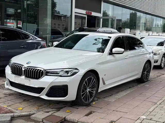 BMW 5 Рестайлинг, 530Li, Лидер, M Спорт-пакет