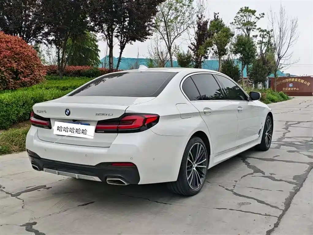 BMW 5 Series 2021 530Li Executive Luxury Package фото 9