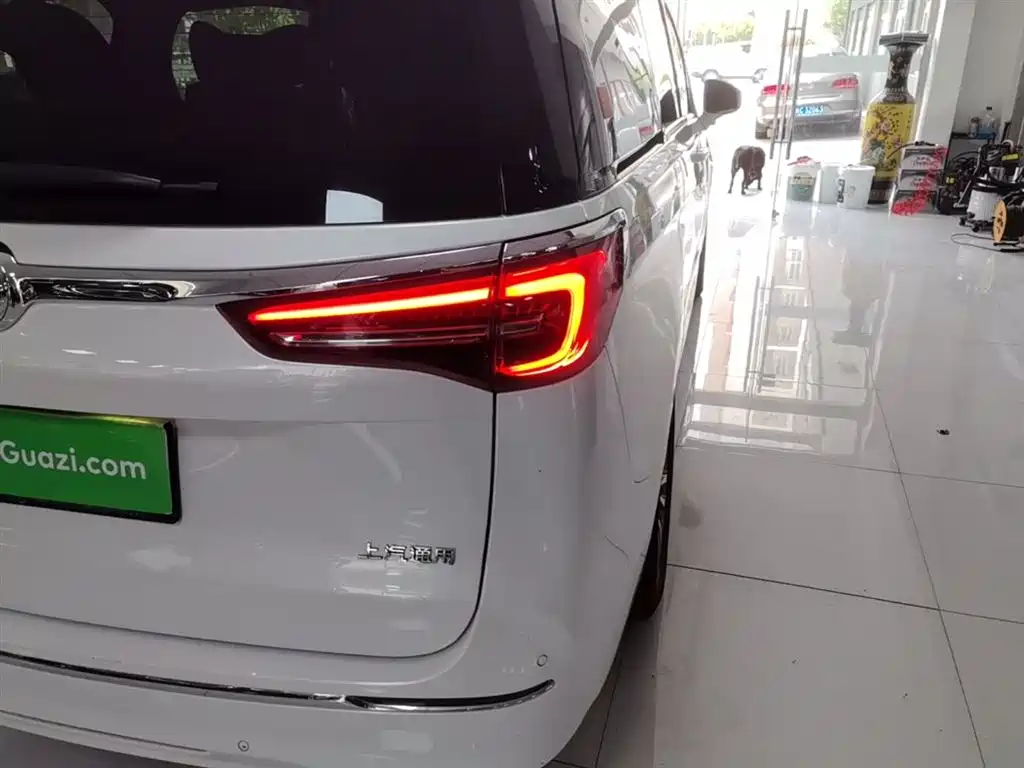 Buick GL8 2022 ES Landmark 653T Comfort фото 8