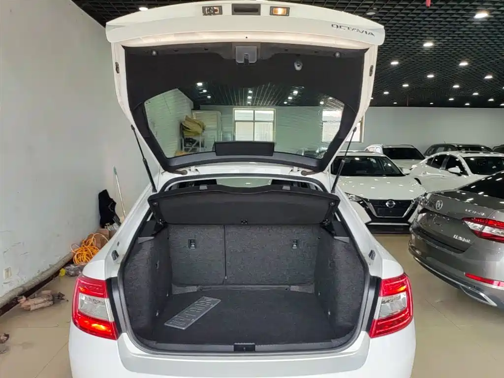 Škoda Octavia 2016 1.6L Automatic Pioneer Edition фото 19