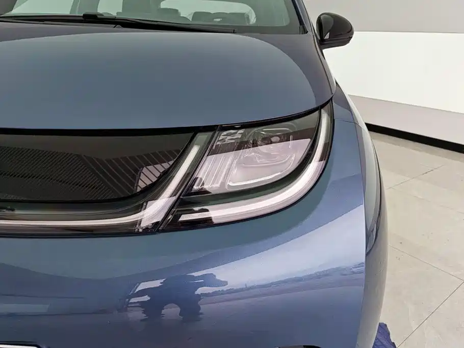 BYD Dolphin 2026 2025 420km Freedom Edition