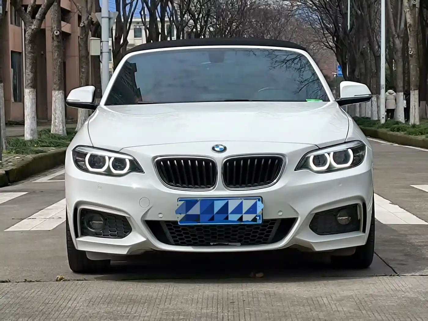 BMW 2 Series (Import) 2018 225i Convertible Coupe Premium M Sport Package фото 2