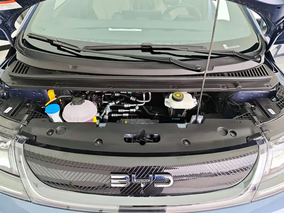 BYD Dolphin 2026 2025 420km Freedom Edition