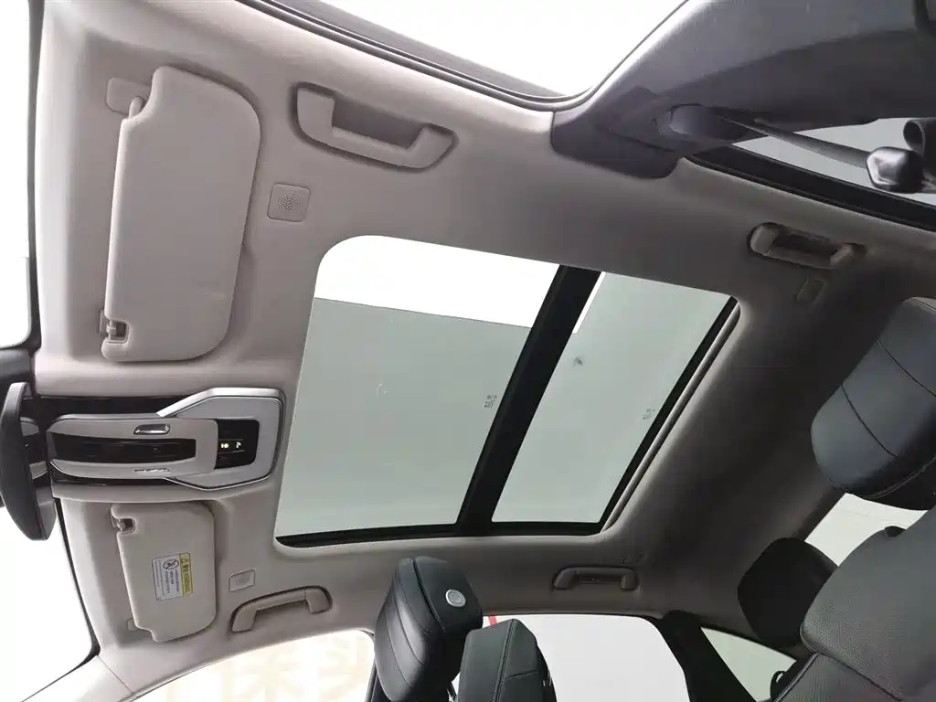 Hongqi H9 2020 2.0T Smart Connection Qi Xiang Edition фото 14