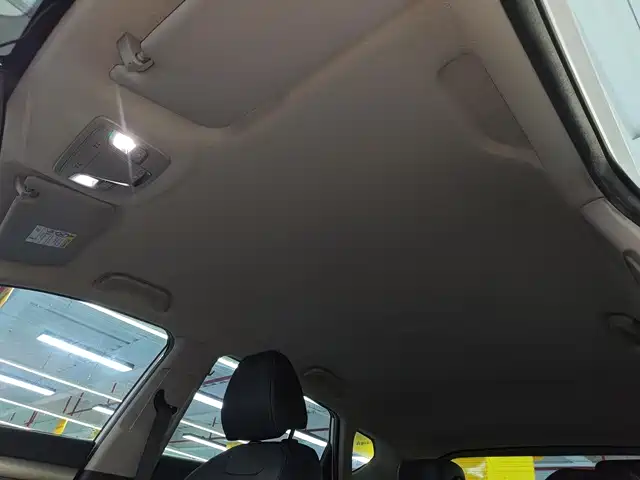 Geely Bin Yue New Energy 2020 2020 1.5T ePro Higher