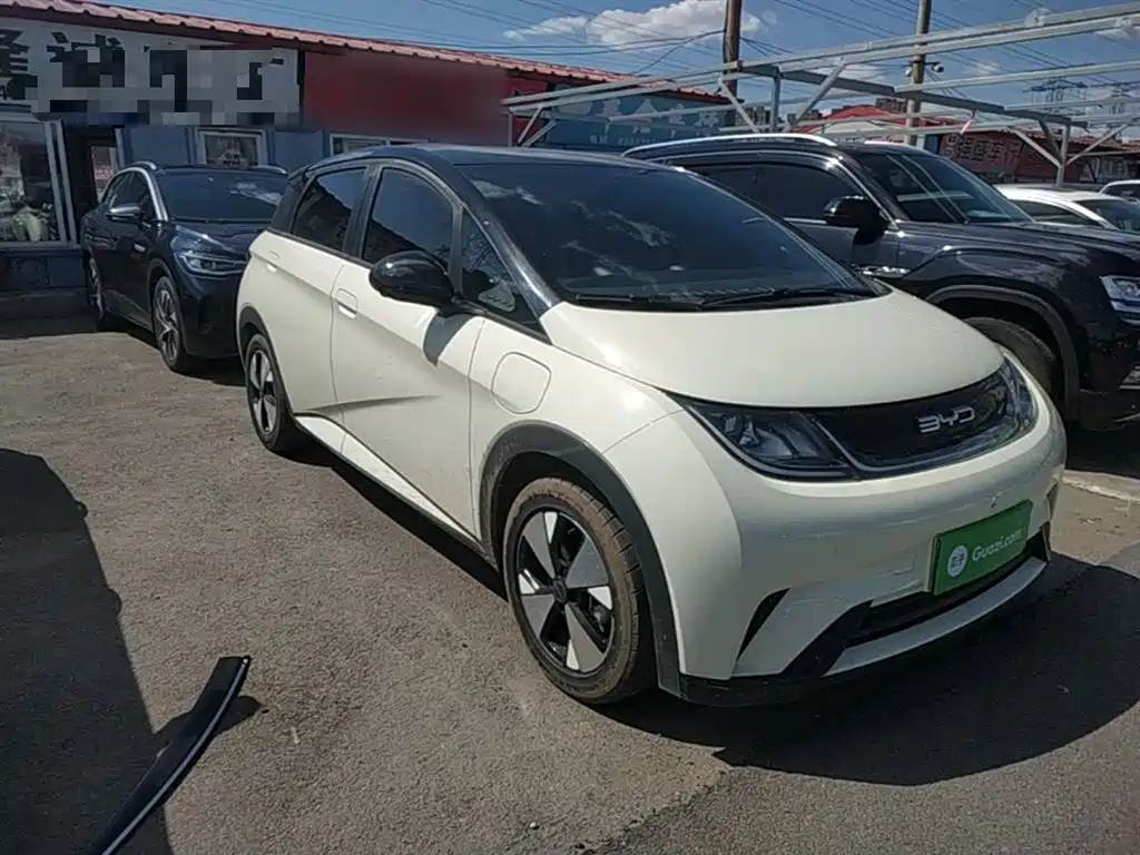 BYD Dolphin 2023 420km Freedom Edition фото 4