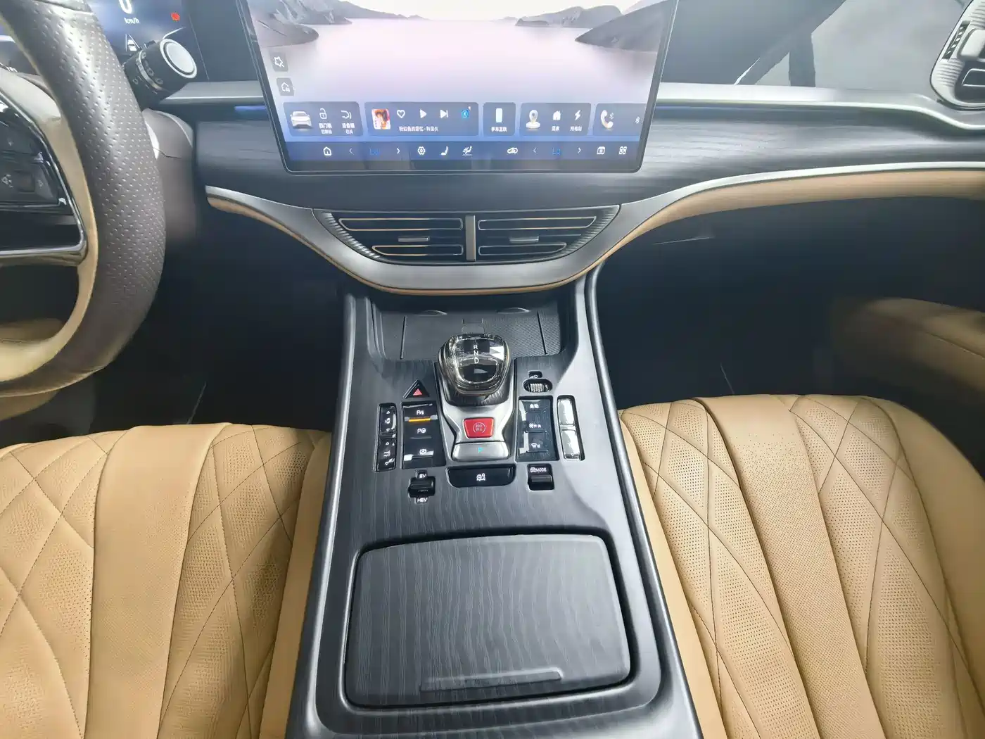 Denza D9 2024 DM-i 980 AWD Flagship фото 10