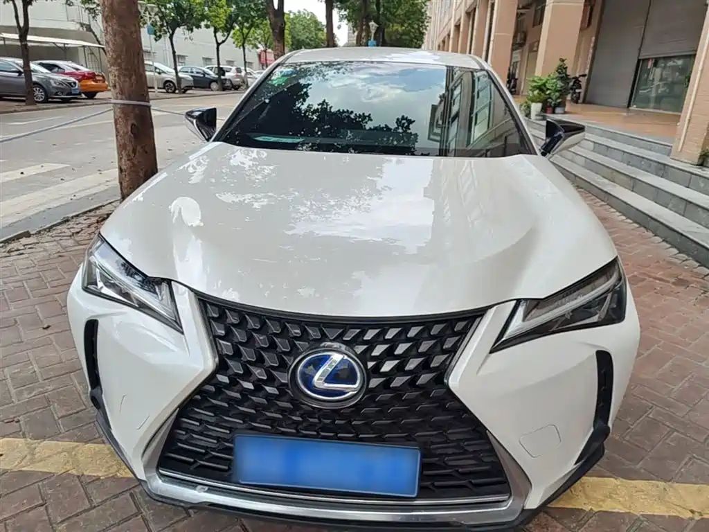Lexus UX 2019 260h Explorer Cool Edition (China V) фото 3