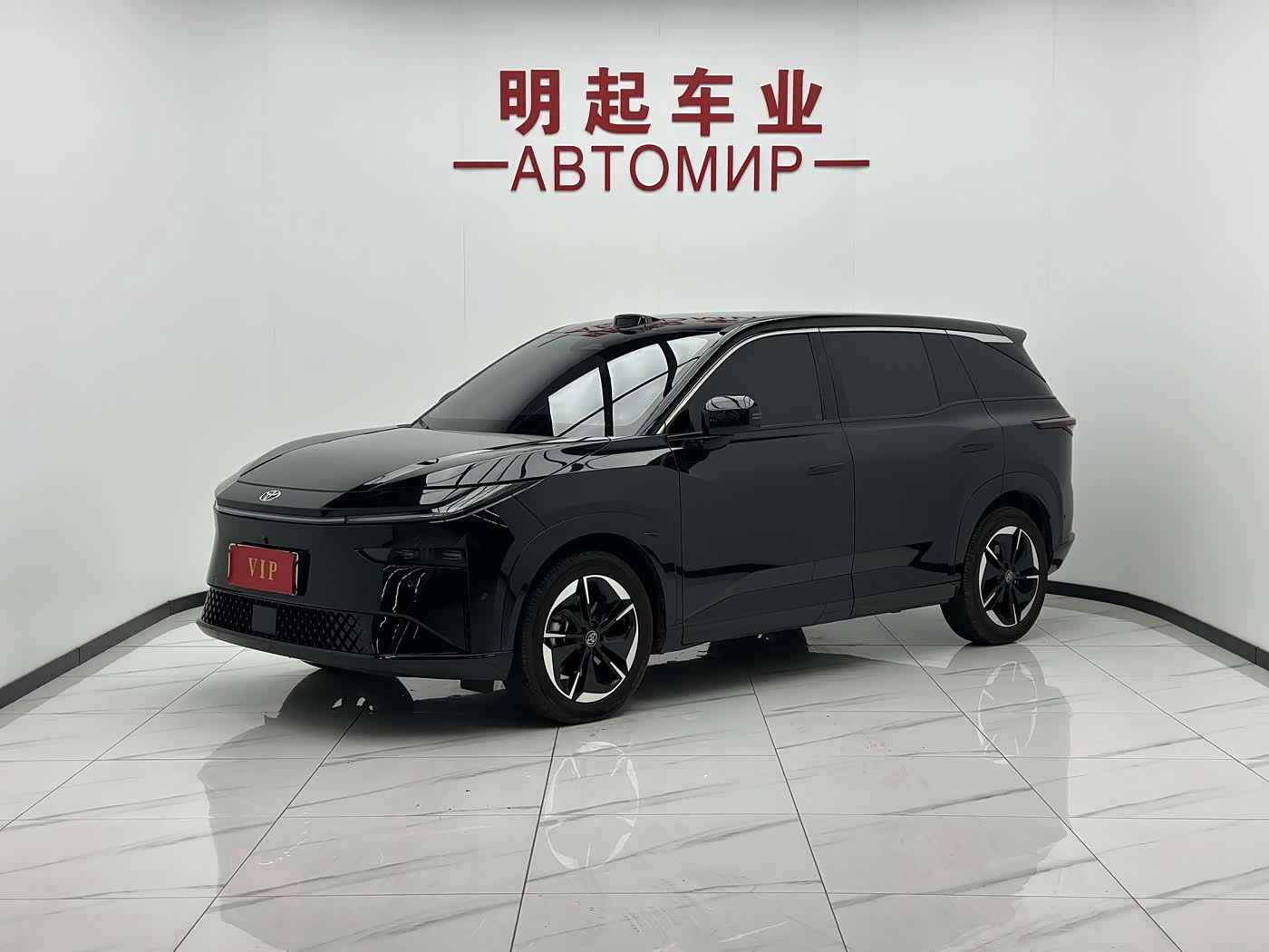 Toyota BoZhi 3X