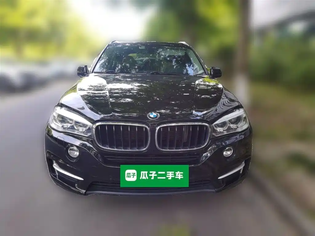 BMW X5 (Import) 2014 xDrive35i Leading фото 24