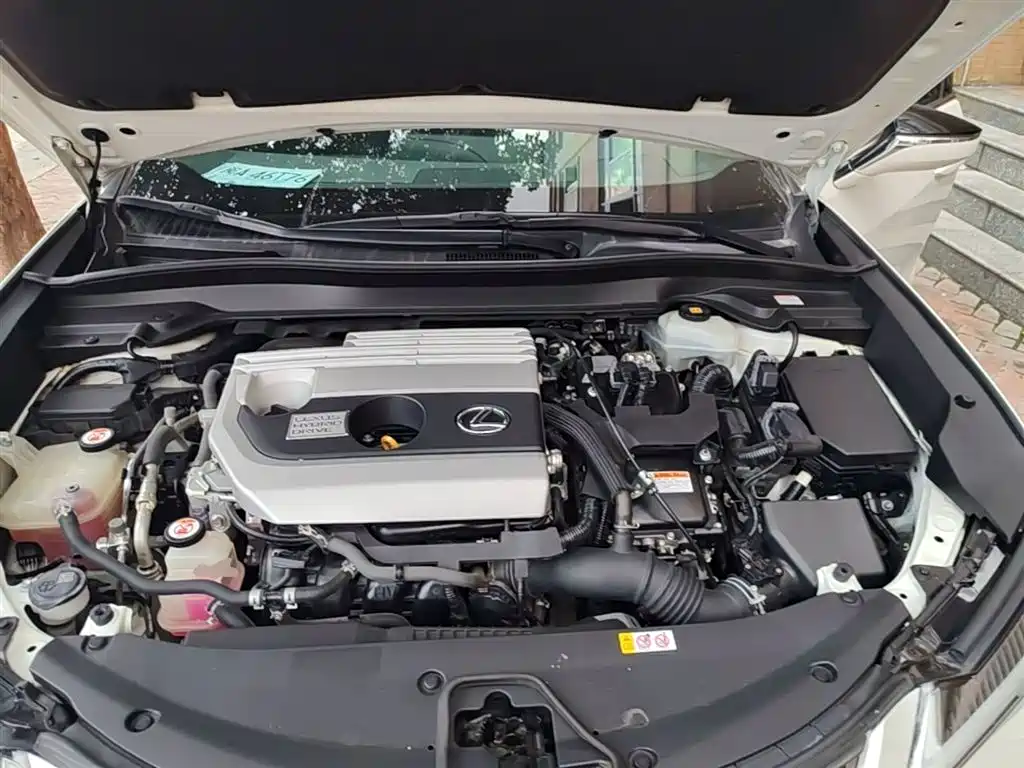 Lexus UX 2019 260h Explorer Cool Edition (China V) фото 20