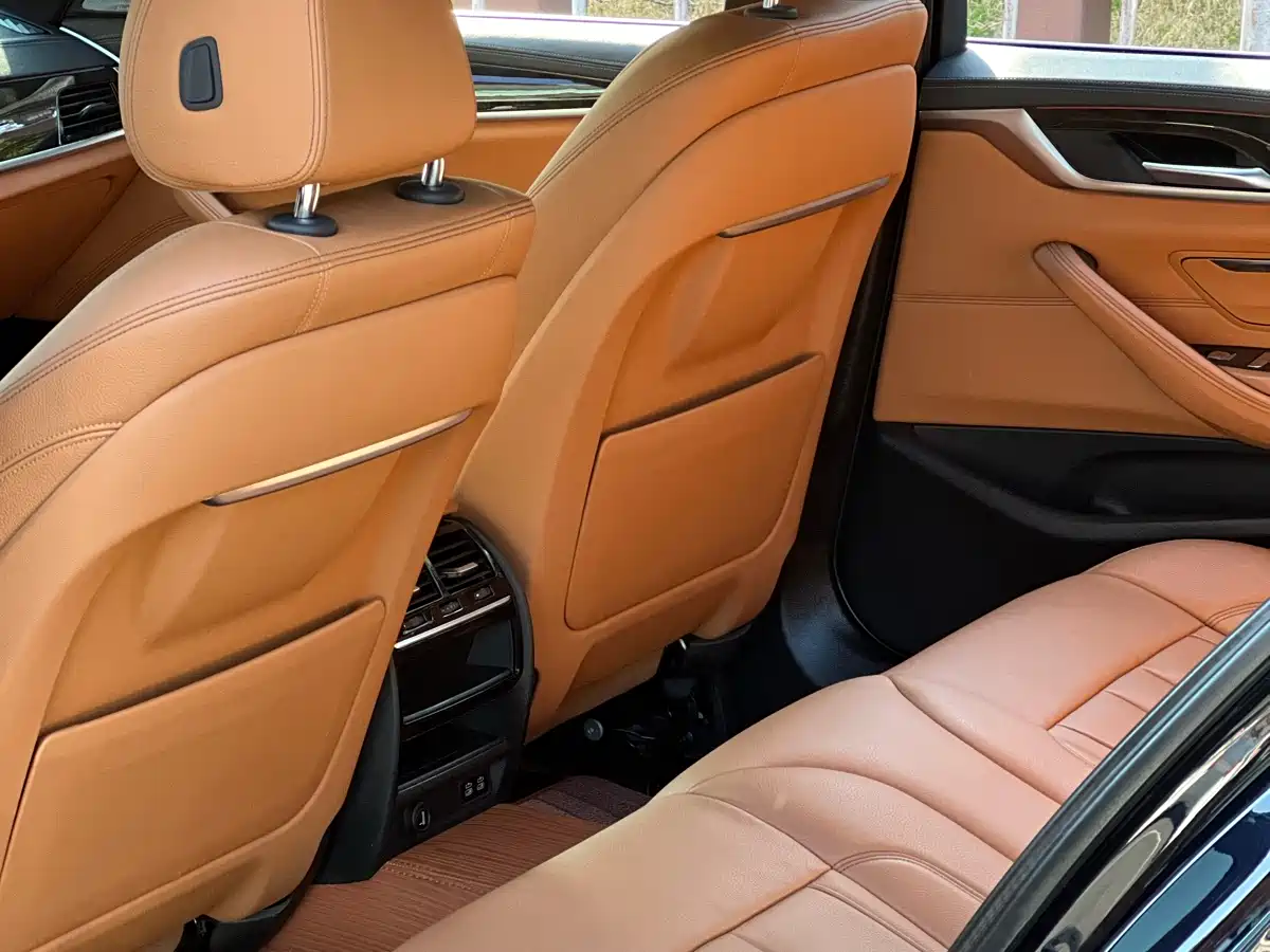 BMW 5 Series 2020 530Li Leading M Sport Package фото 13