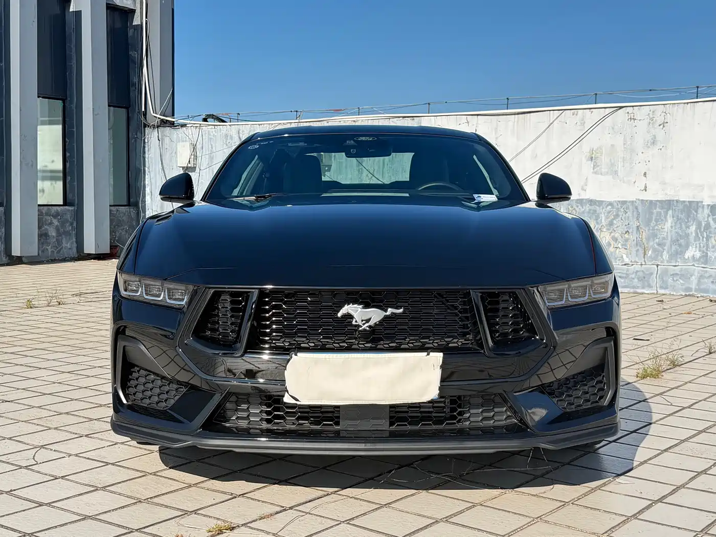Ford Mustang, миниатюра 2