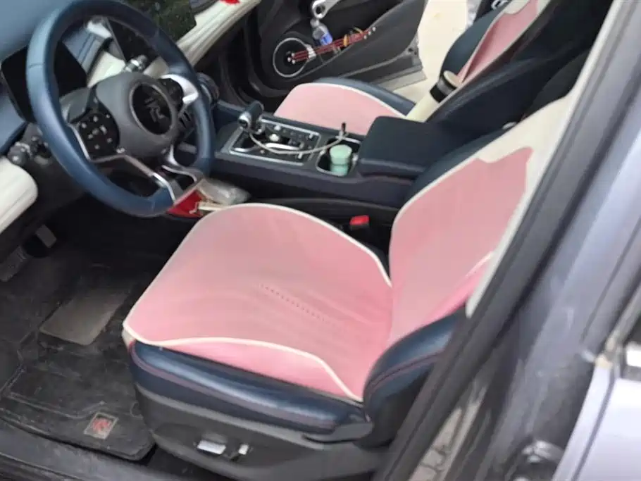 BYD Yuan PLUS 2022 430KM Premium фото 9