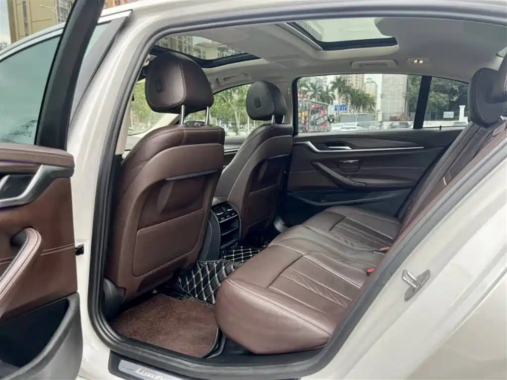 BMW 5 Series 2020 530Li Leading Luxury Package фото 6