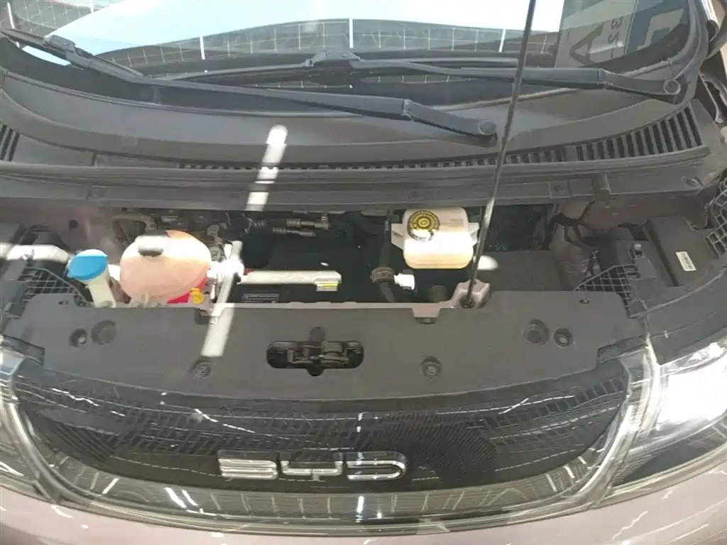 BYD Dolphin 2021 Model 405km Fashion Edition фото 19