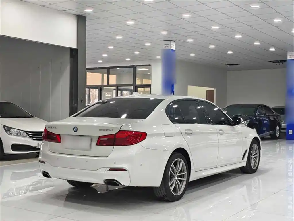 BMW 5 Series 2019 525Li M Sport Package фото 7