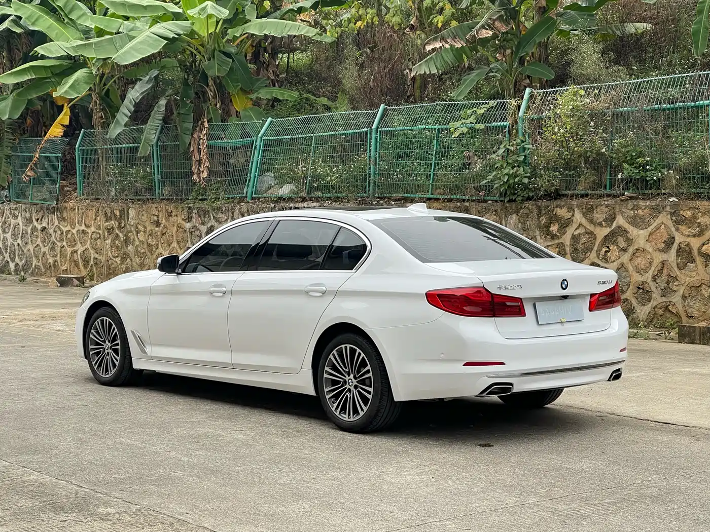 BMW 5 Series 2020 530Li Premium Luxury Package фото 7