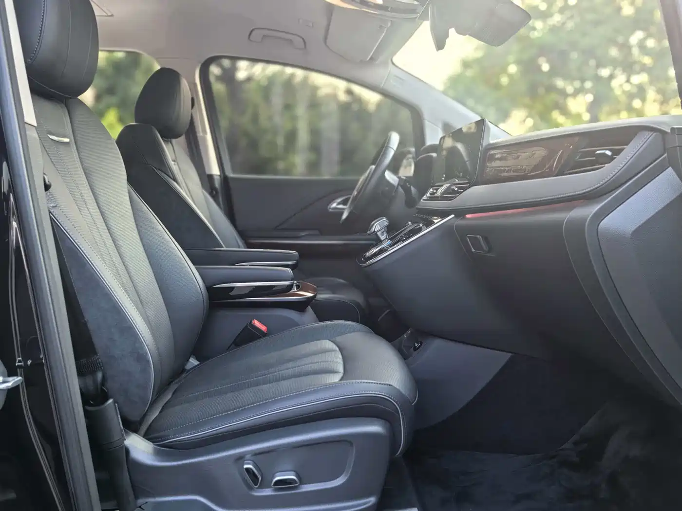 Hongqi HQ9 PHEV 2024 Model 2.0T AWD Luxury Edition фото 21