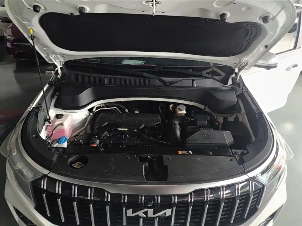Kia Sportage 2021 Ace 2.0L Brilliant Edition фото 20