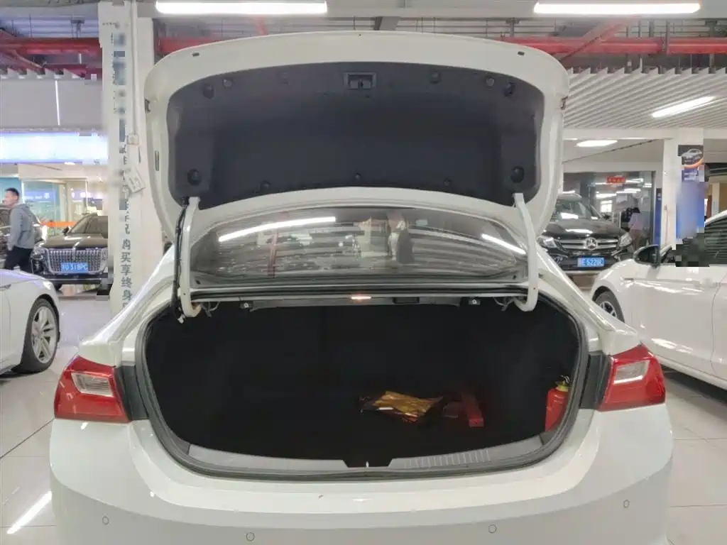 Chevrolet Malibu XL 2018 530T Auto RuiXiang Edition фото 19
