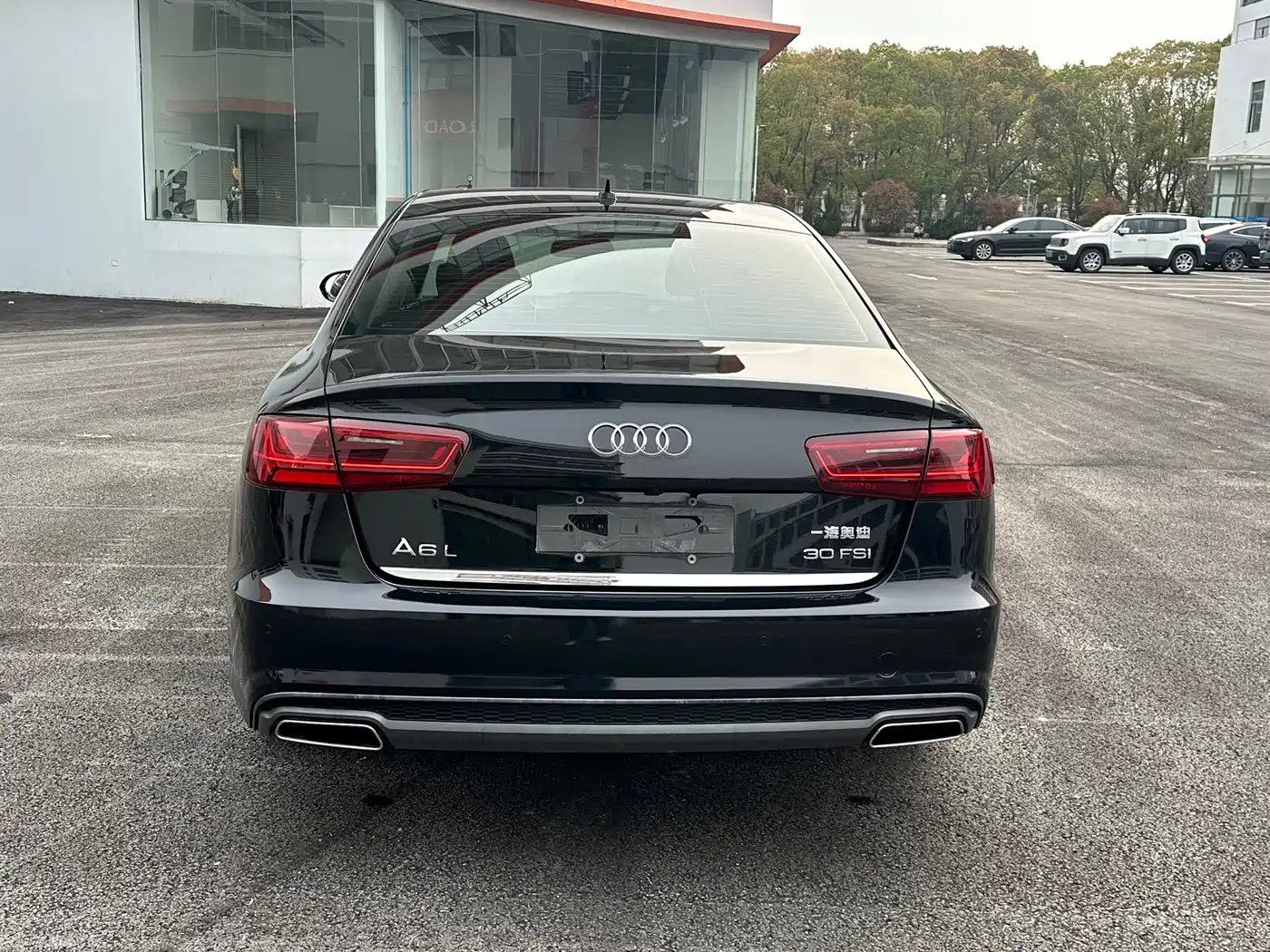 Audi A6L 2018 30th Anniversary 30 FSI Style фото 6