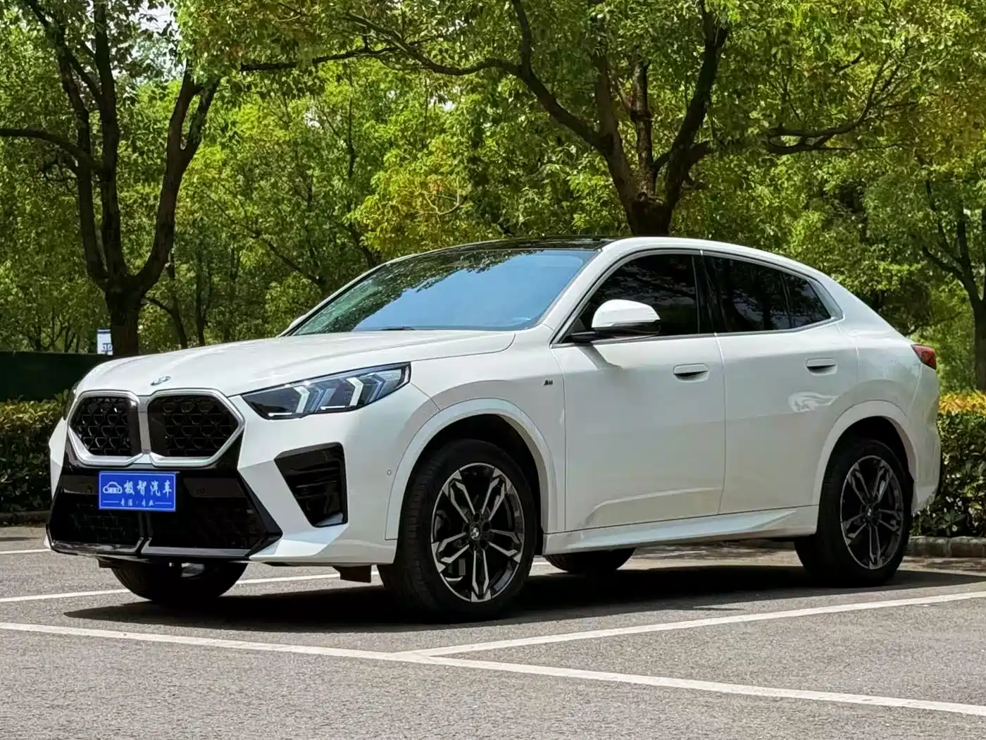 BMW X2 (Import) 2024 2024 sDrive25i M Sport Package