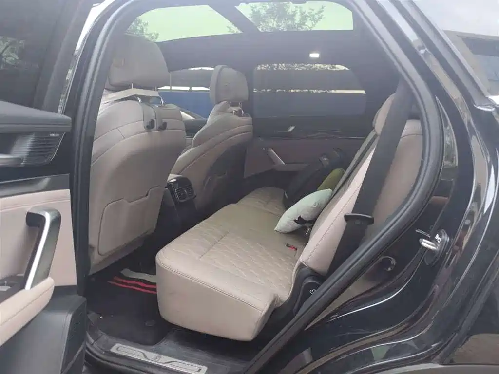 Photo 6 - BYD Tang New Energy