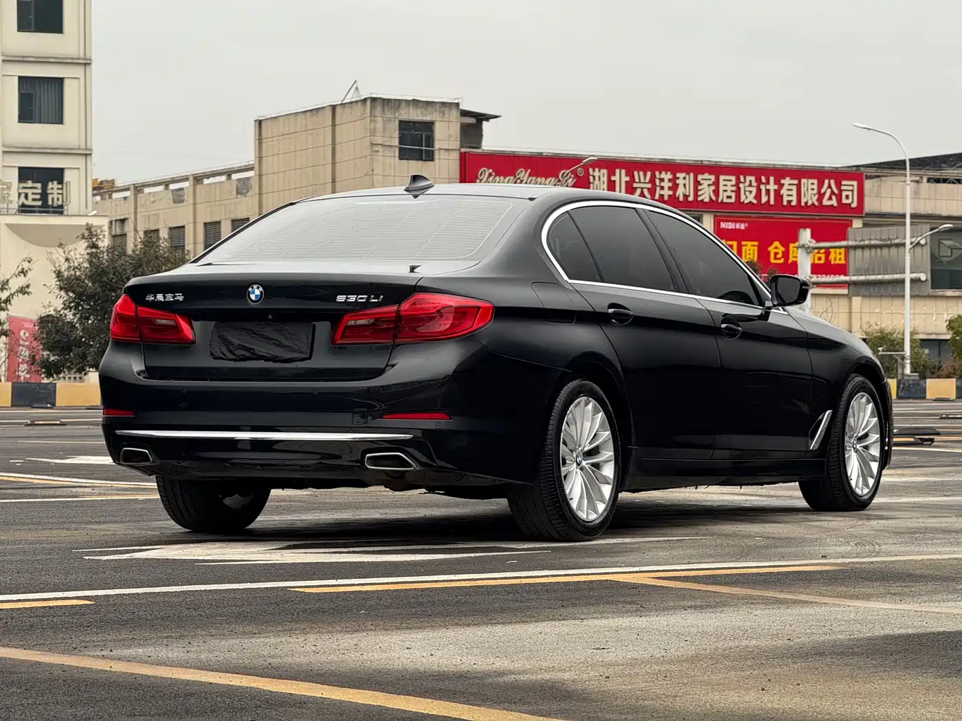 BMW 5 Series 2020 530Li Leading Luxury Package фото 7