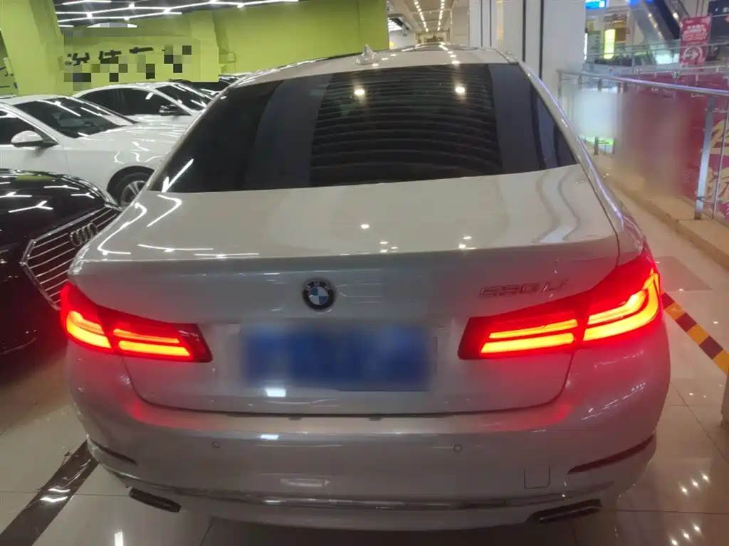 BMW 5 Series 2020 530Li Premium Luxury Package фото 6