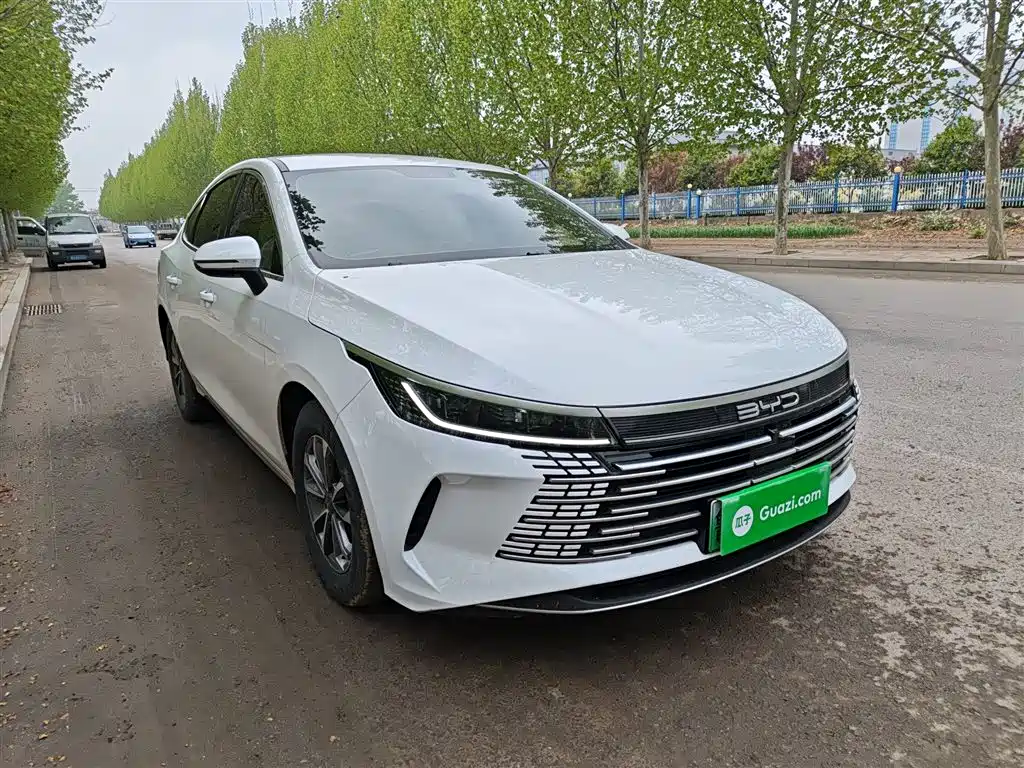 BYD Destroyer 05 2024 Glory Edition DM-i 55KM Luxury фото 22