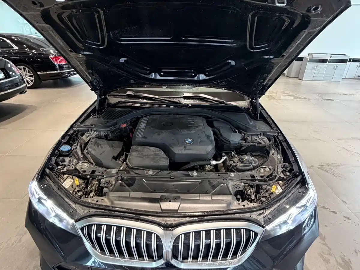 BMW 3 Series 2023 320Li M Sport Package фото 18