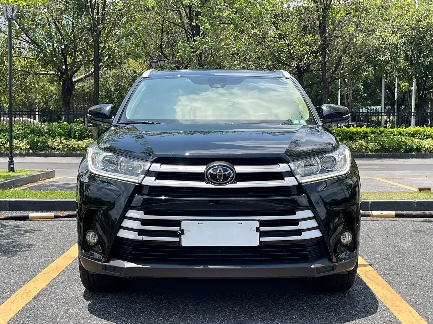 Toyota Highlander 2018 2.0T 4WD Luxury 7-seater (China V) фото 2