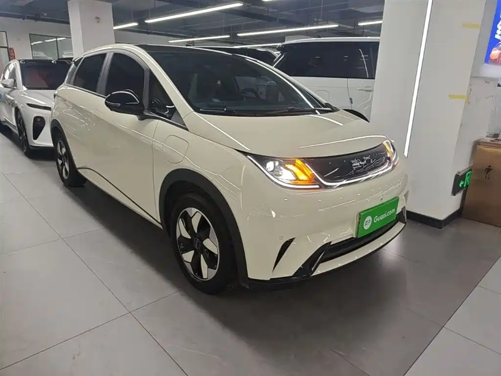 BYD Dolphin 2025 420km Fashion Edition фото 4