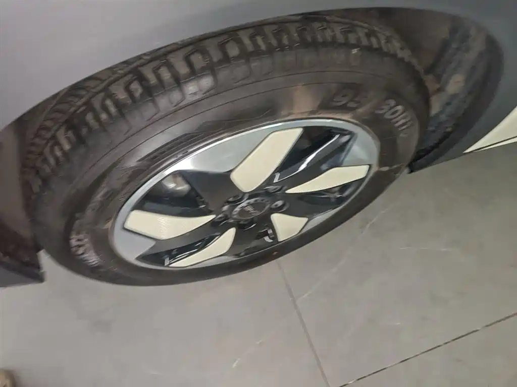 BYD Dolphin 2025 420km Fashion Edition фото 23